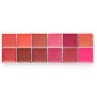 Perfect lipstick makeup palette for any shade